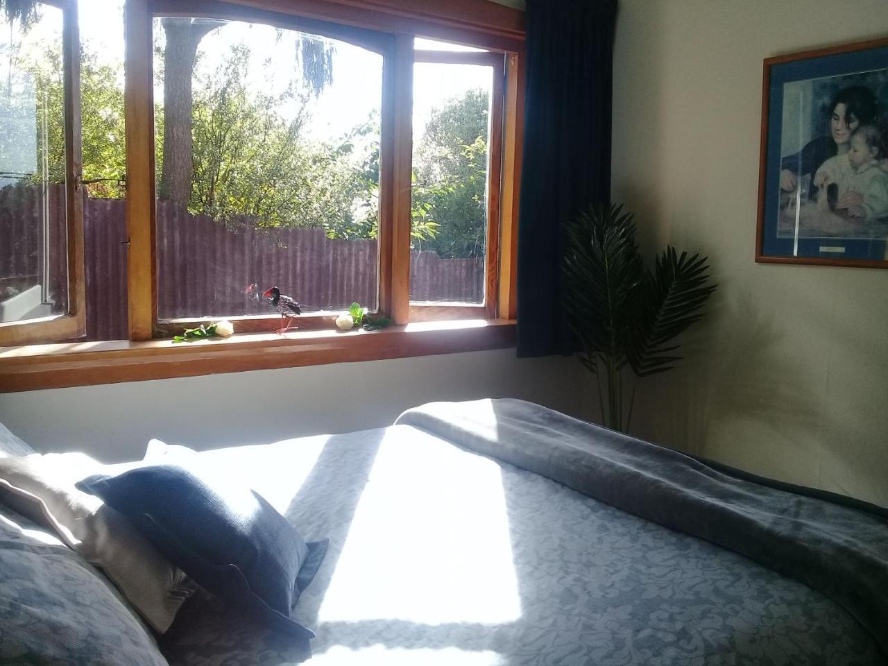 Blue Penguin Villa Timaru Exterior photo